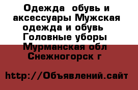 Одежда, обувь и аксессуары Мужская одежда и обувь - Головные уборы. Мурманская обл.,Снежногорск г.